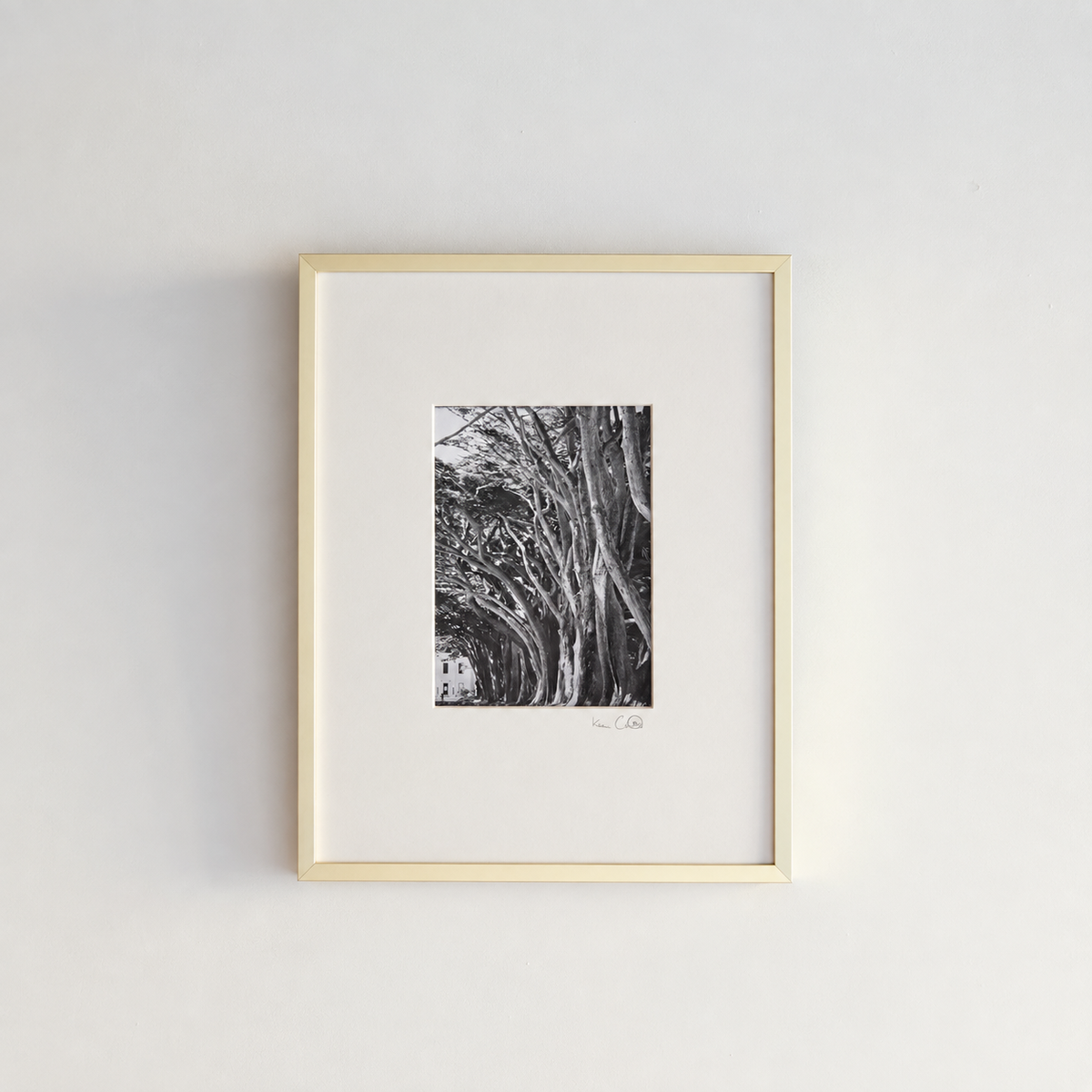 Fragment No. 2 — The Coda II