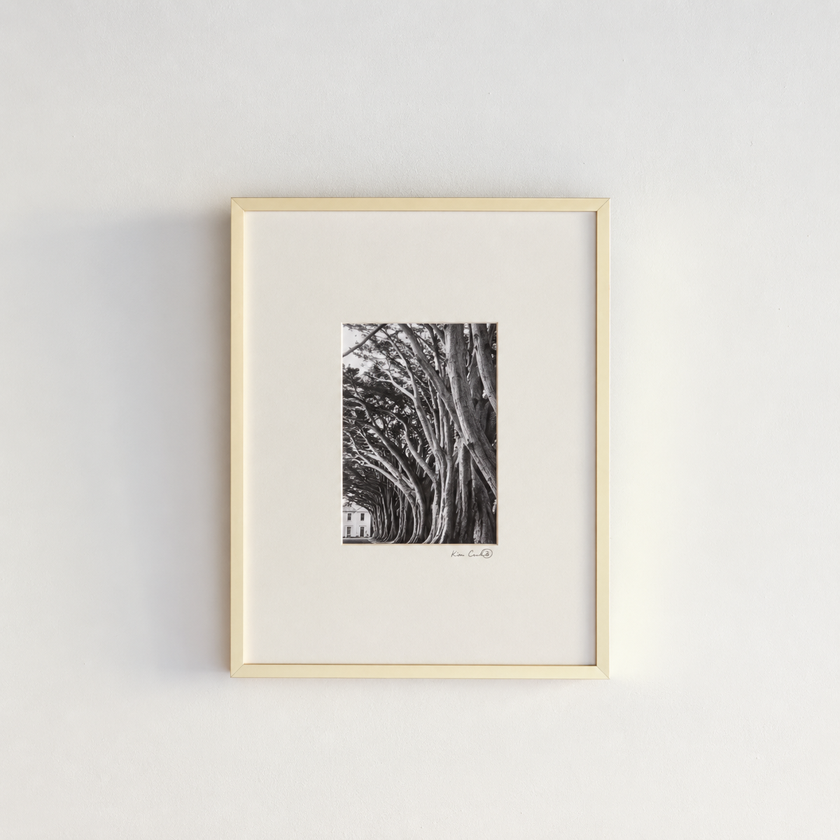 Fragment No. 2 — The Coda II
