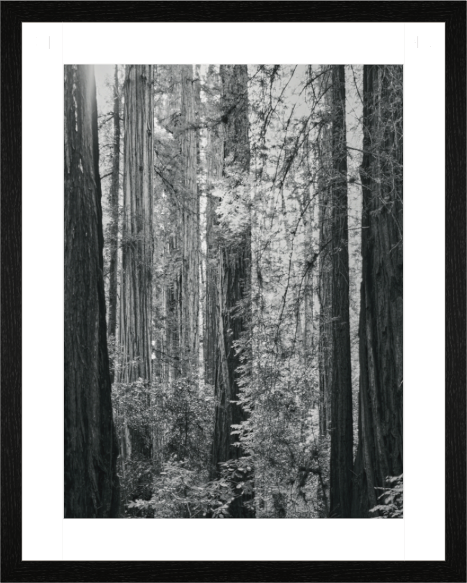 Main image Time — Stacked