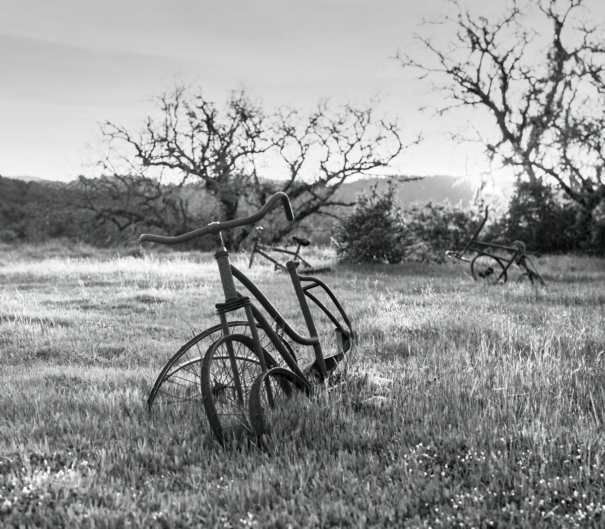 Bikehenge
