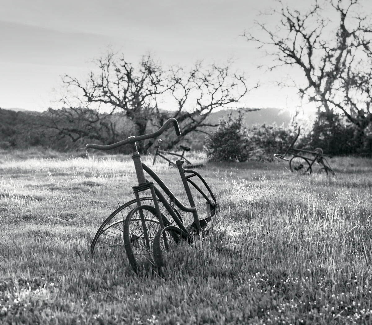 Bikehenge