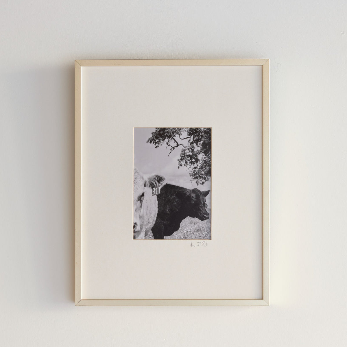 Fragment No. 4 — Rural Legends