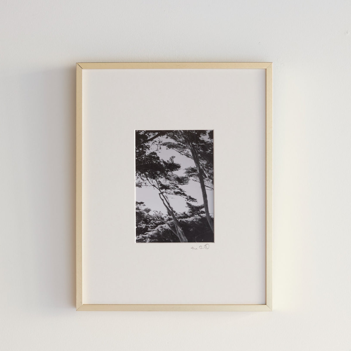 Fragment No. 8 — The Coda I